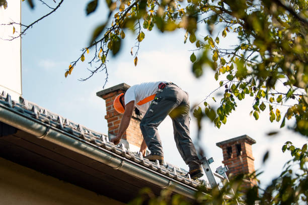 Best Metal Roofing Contractor  in Huntington Woods, MI